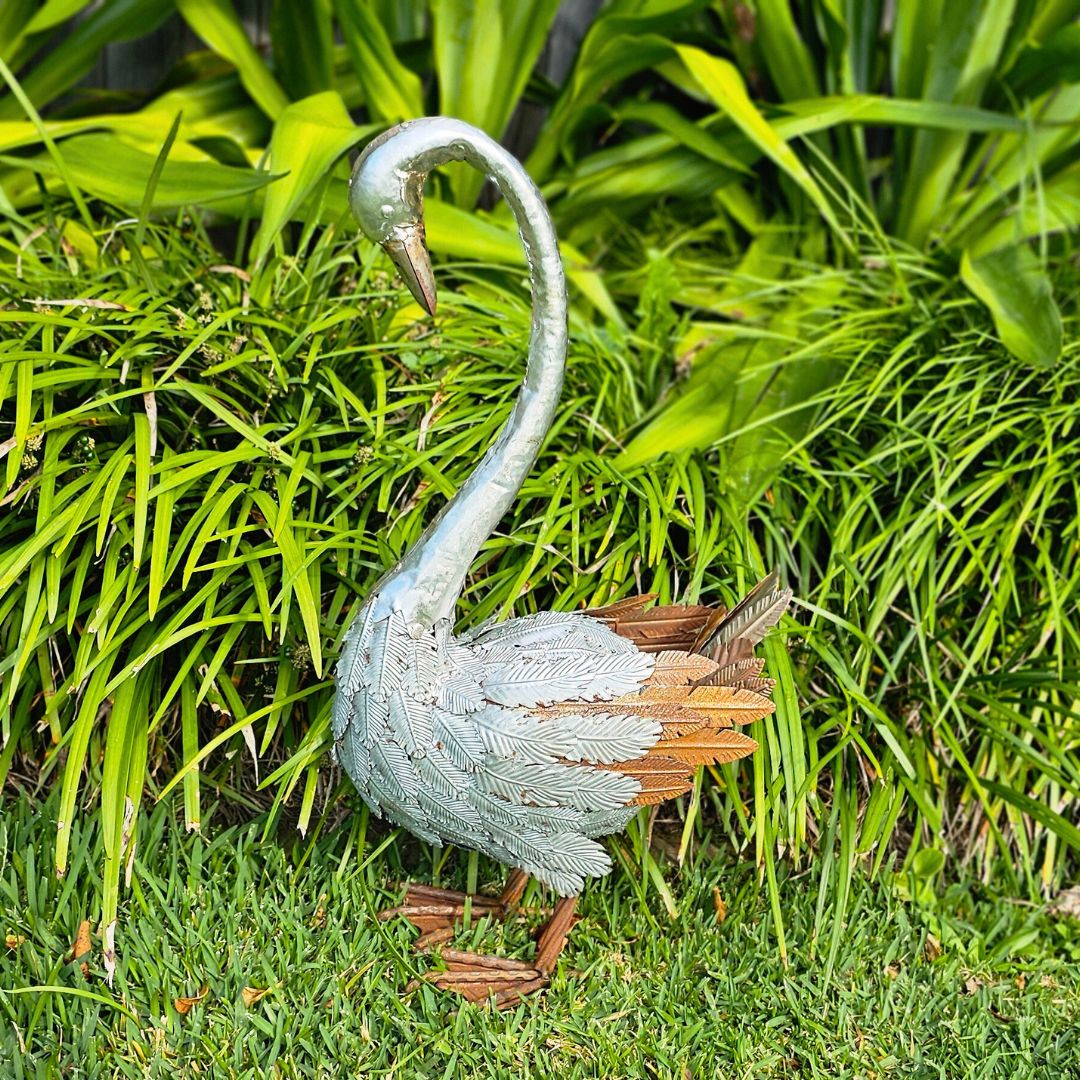 BHB17603 - SWAN