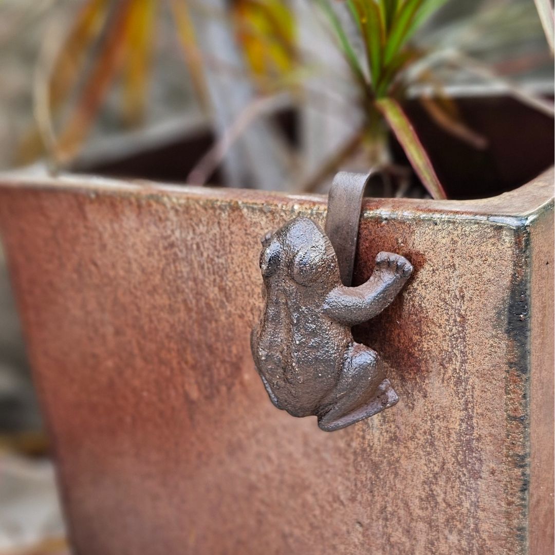 BW3021 - FROG POT HANGER