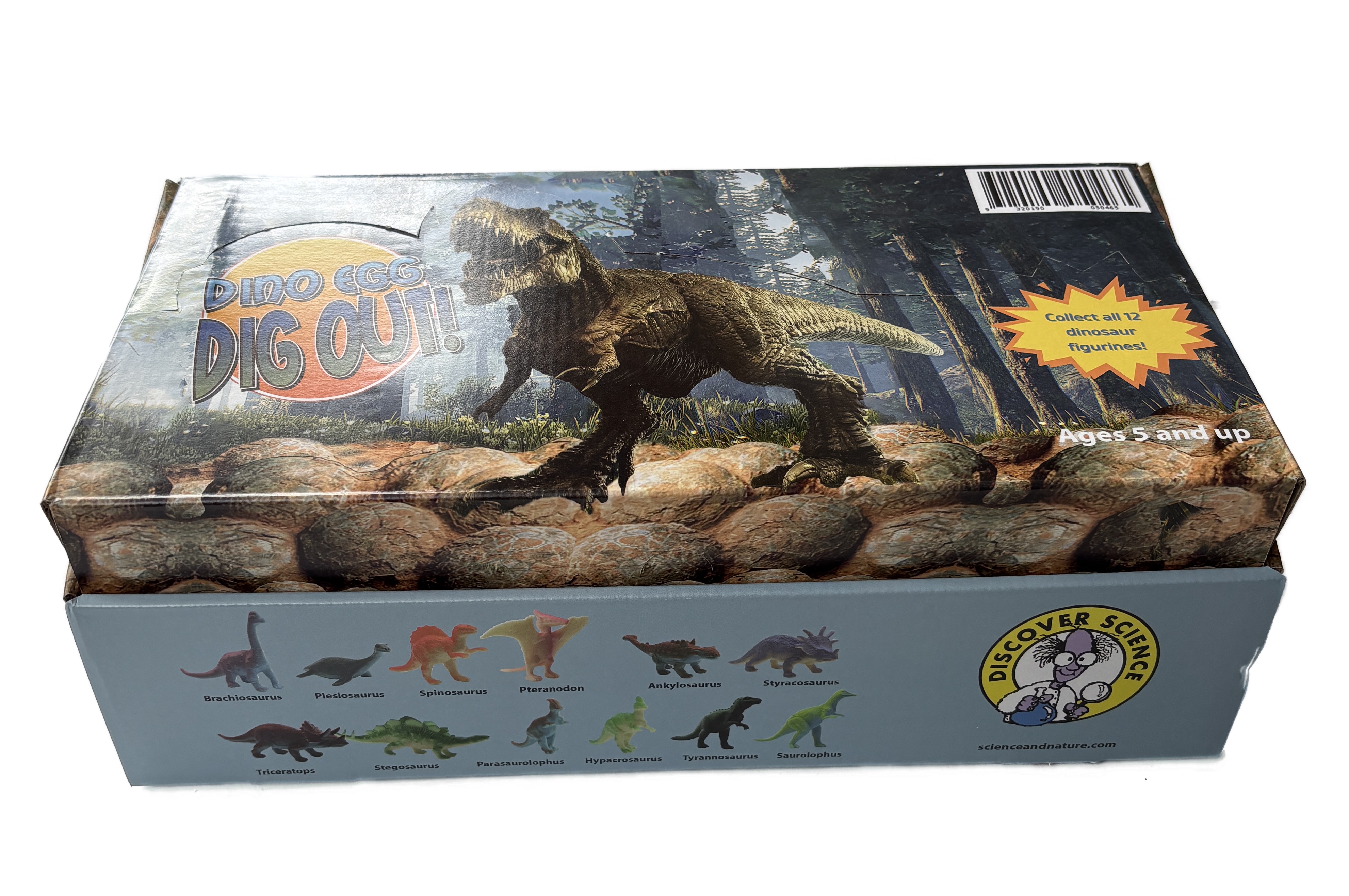 5046: Dino Egg Dig Out Display