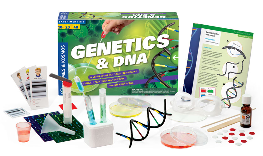 665007: Genetics & DNA Lab
