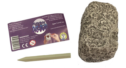 5047: Mineral Dig Out Display