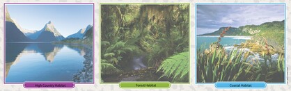 8209: New Zealand Menagerie Game