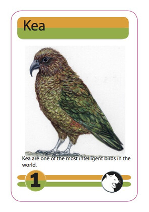 8209: New Zealand Menagerie Game