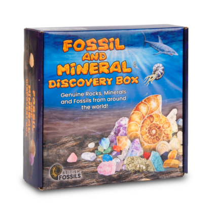 3250: Fossil and Mineral Discovery Box