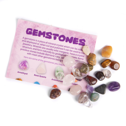 3250: Fossil and Mineral Discovery Box