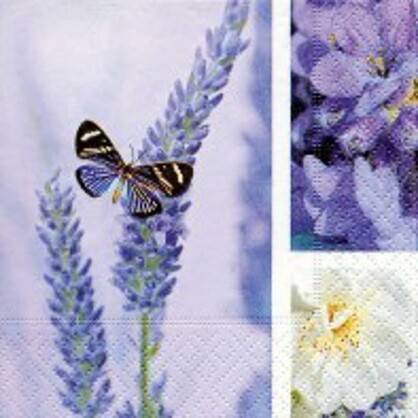 COCKTAIL - Dream Of Lavender  **