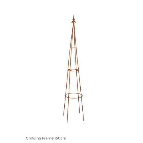 Growing Frame Rust 150cm