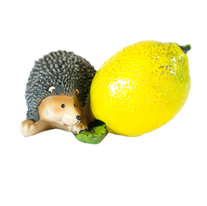 FAP29C Mini Hedgehog with Lemon