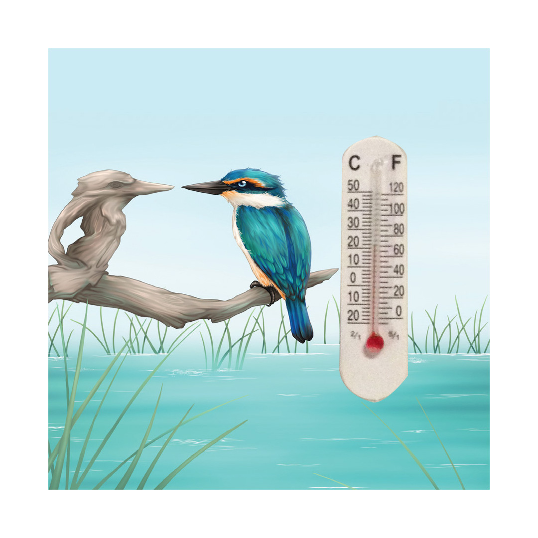 SBM017 Sophie Blokker Ceramic Thermometer Magnet - Mirror Kingfisher