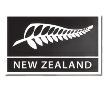 PE02 Embroidered Patch - NZ Fern