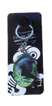 K136 Resin Keyring - Kiwi