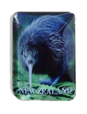 M291 Glass Magnet - Kiwi