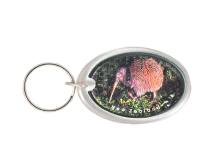 K910 Keyring - Kiwi