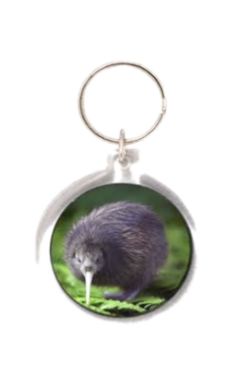K917 Keyring - Baby Kiwi