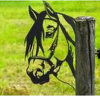 Y24Horse1043 Peeping Laser Cut Horse Metal Fence Art Black