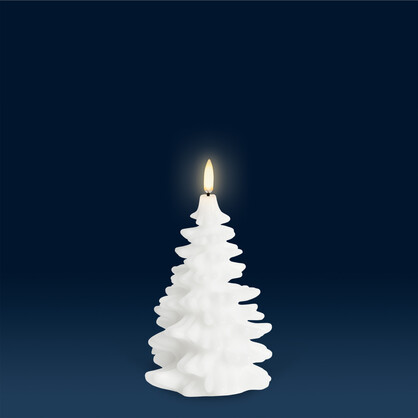 Festive | Christmas Trees