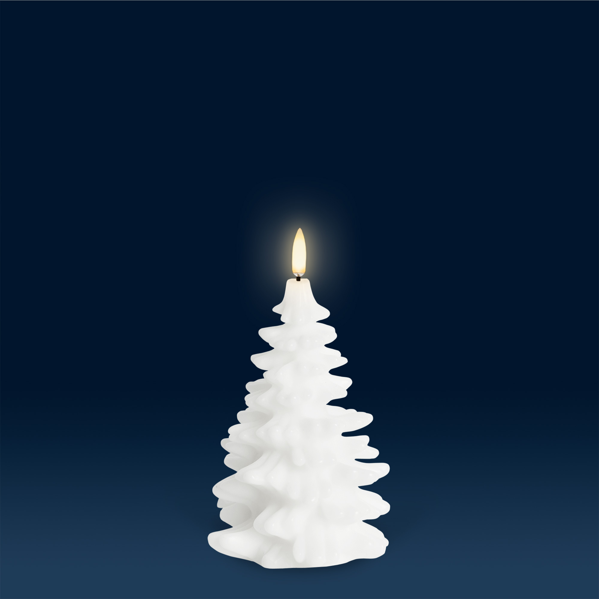 Festive | Christmas Trees