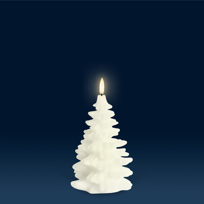 Festive | Christmas Trees