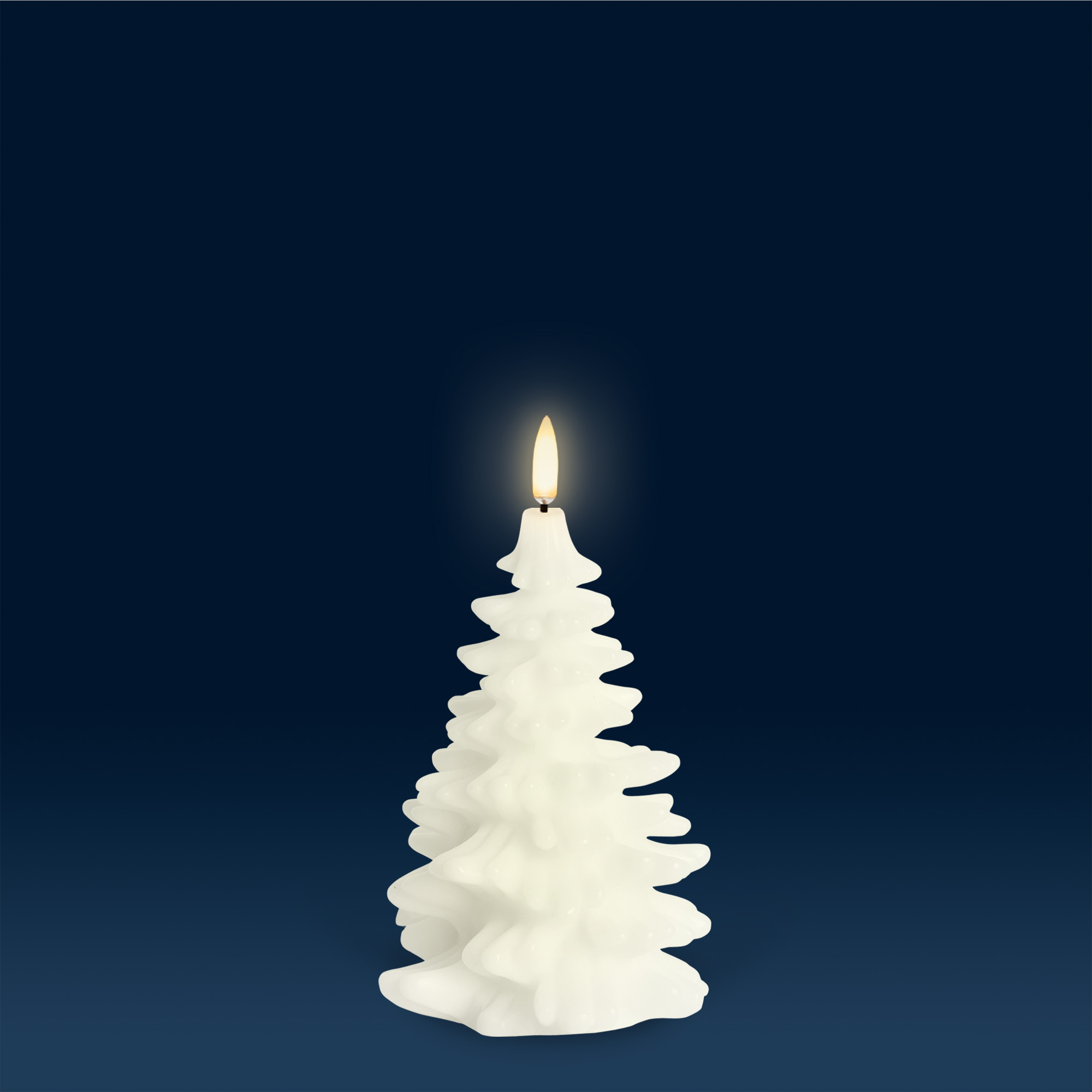 Festive | Christmas Trees