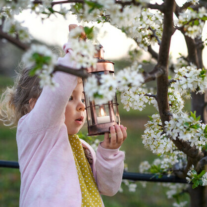 Tea Lights | Nordic White