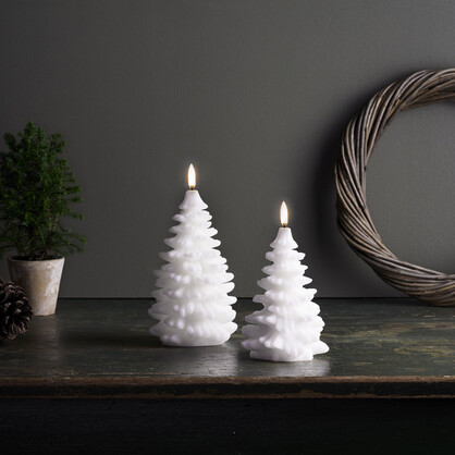 Festive | Christmas Trees