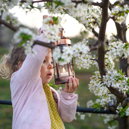 Tea Lights | Nordic White