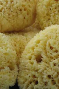 Natural Mediterranean Sea Sponge Medium or Large
