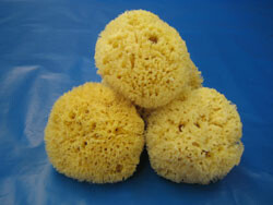 Natural Mediterranean Sea Sponge Medium or Large