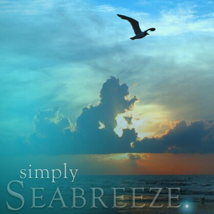 Simply Home Fragrance 140ml Seabreeze