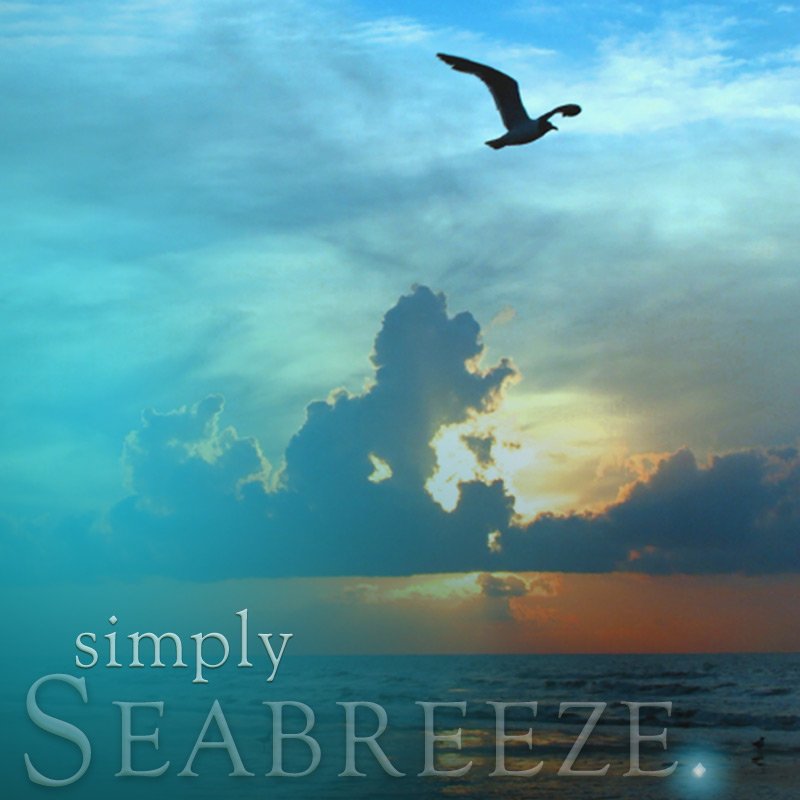 Simply Home Fragrance 140ml Seabreeze