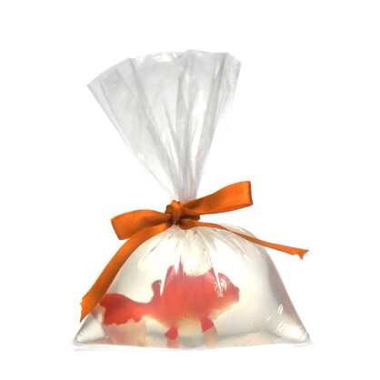 STAR+ROSE GOLDFISH IN A BAG SOAP 160G - CDU 12