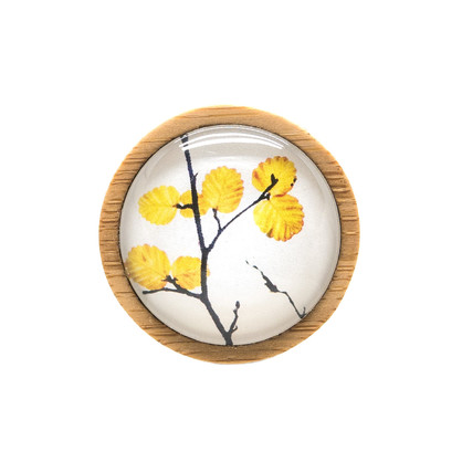 Deciduous Beech - Brooch