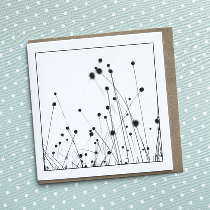 Buttongrass - Greeting Card