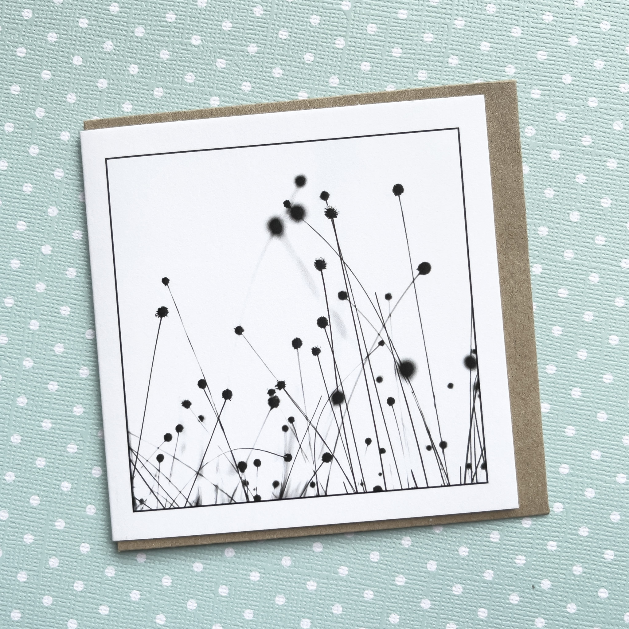 Buttongrass - Greeting Card