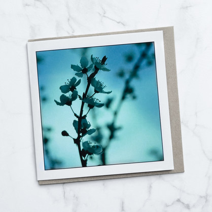 Blue Blossom - Greeting Card