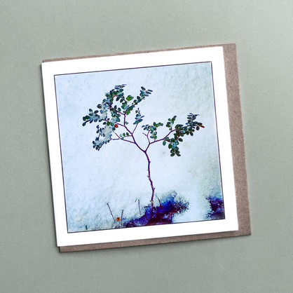 Myrtle Tree - Greeting Card