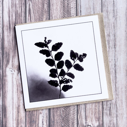 Myrtle Leaves - Greeting Card