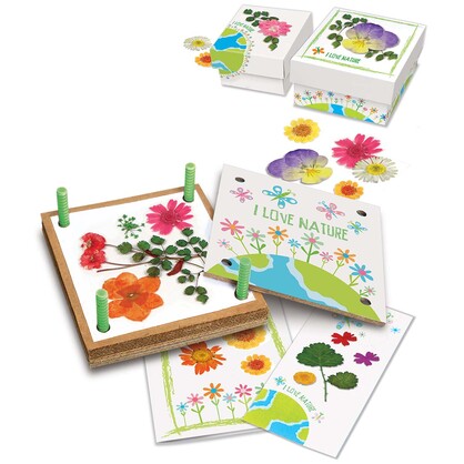 Green Creativity/Pressed Flower Art