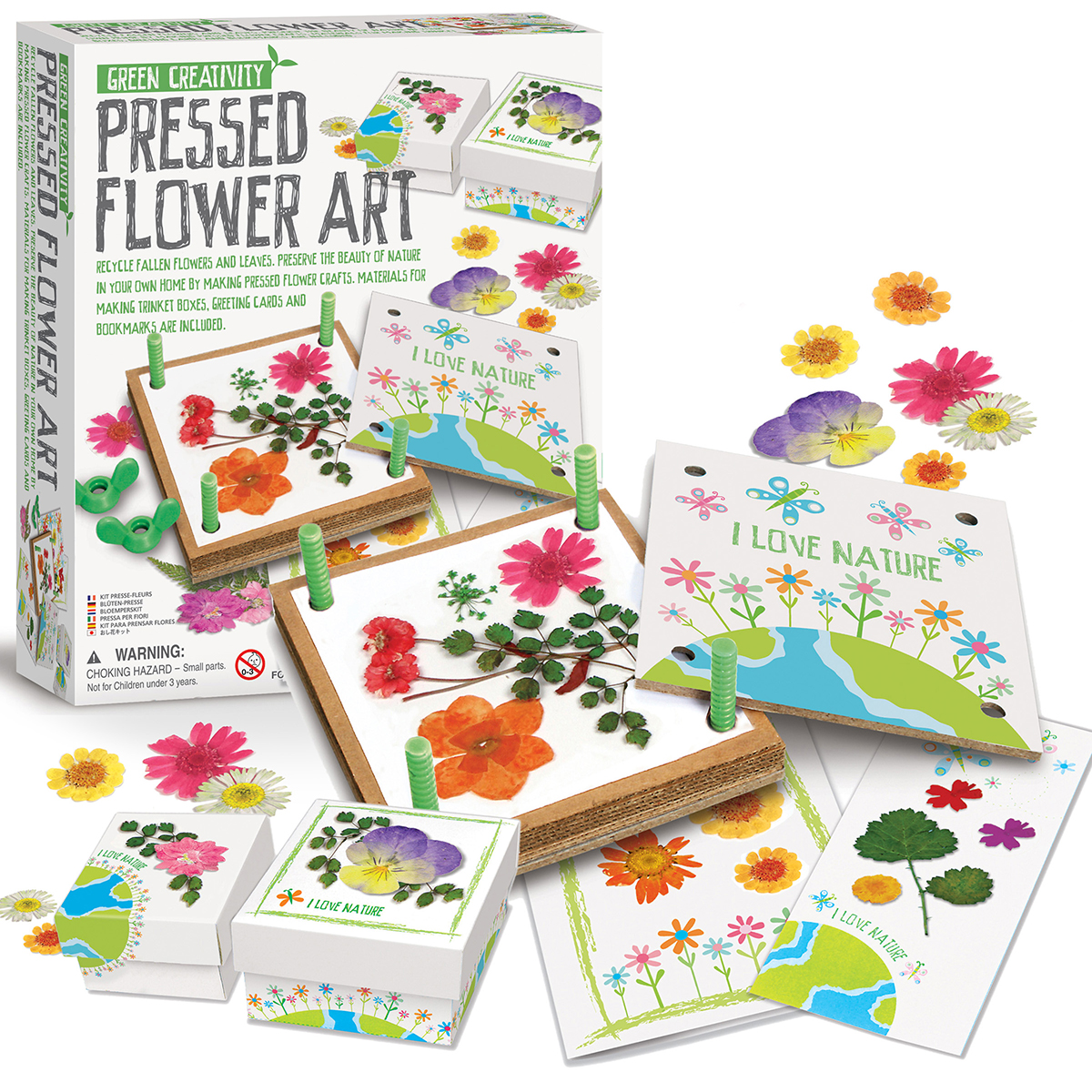 Green Creativity/Pressed Flower Art